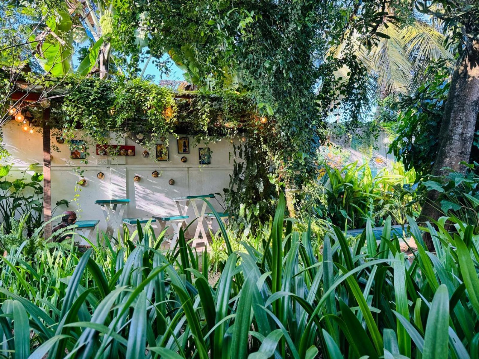 Double Mango Villa Katunayaka Buitenkant foto